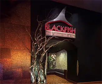 Blackfish logo