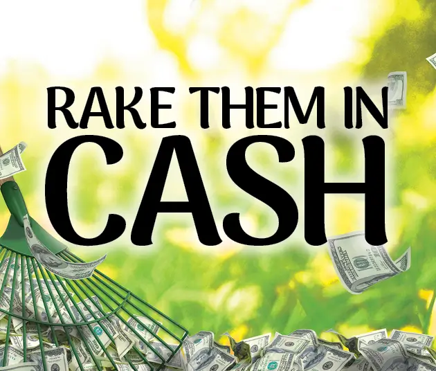 Rake Them in Cash