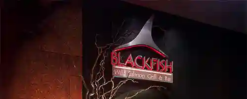 Blackfish entrance